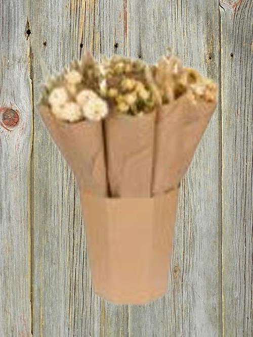 MARKET SINGLE NATURAL DRIED BOUQUETS